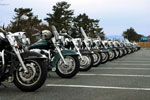 DSC_3715s.jpg