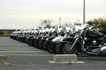 DSC_3789s.jpg