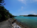 辺野古の海