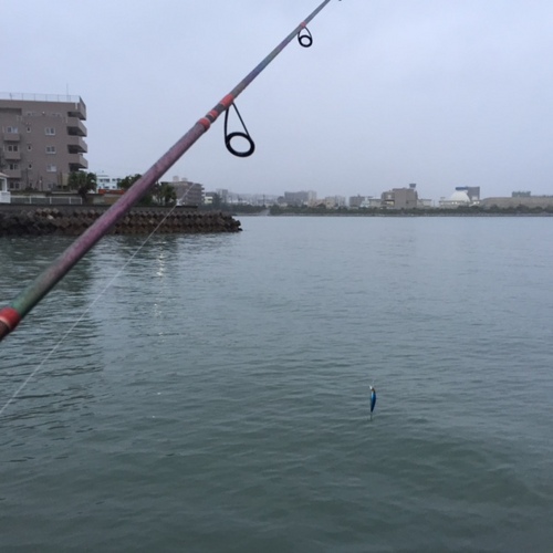 雨降ってきた