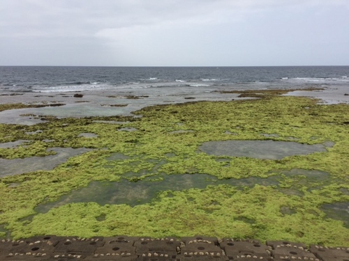 干潮の宮城海岸