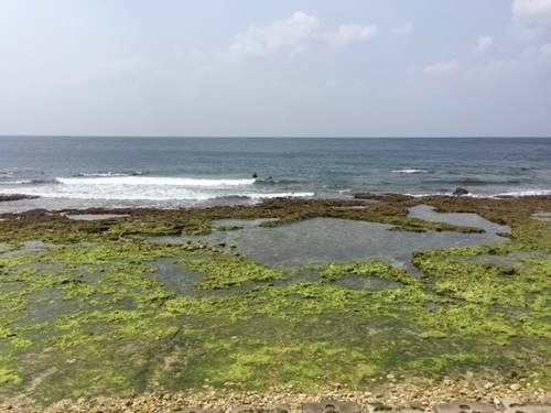 宮城海岸