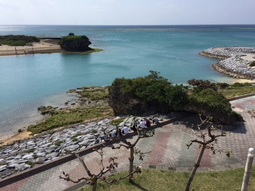 今日の景色