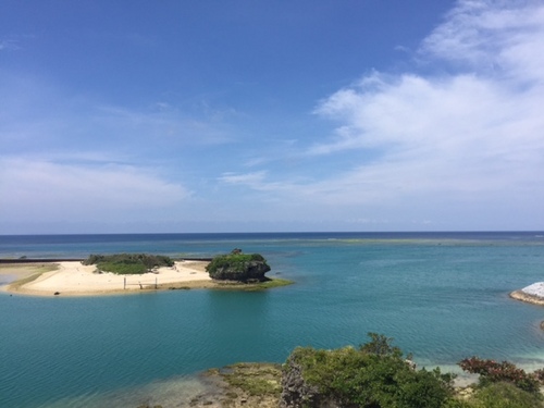 今日の景色