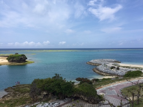 今日の景色