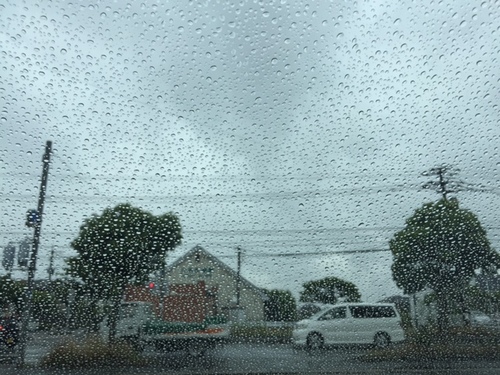 雨です