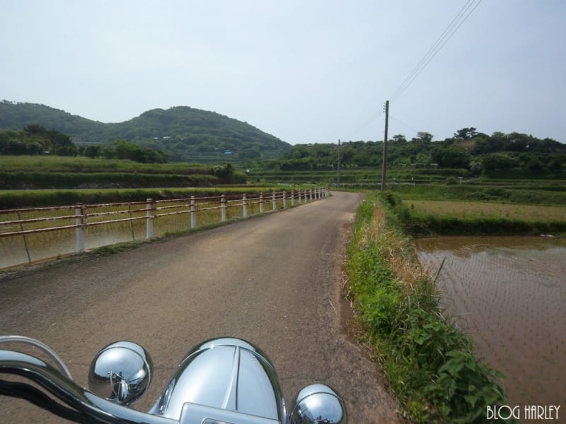 的山大島