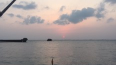 夕マズメ