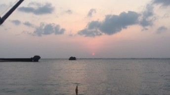 夕マズメ