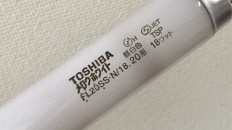 買物リスト