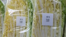 茨城産白菜
