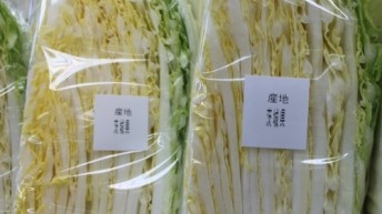 茨城産白菜