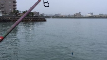 雨降ってきた