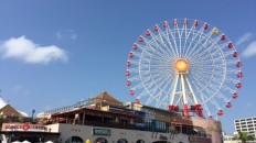 美浜