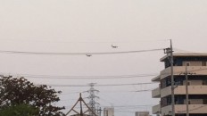 オスプレイ