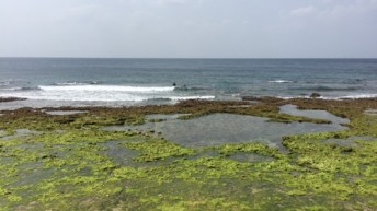 宮城海岸