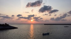 夕まずめ