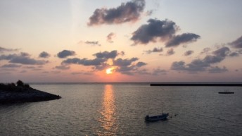 夕まずめ