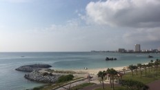 今日の景色