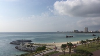 今日の景色
