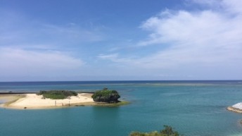 今日の景色