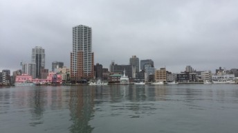 湾内