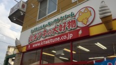 北キツネ