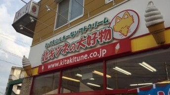 北キツネ