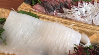 おやつ お刺身