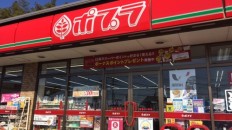 ポプラ