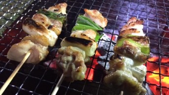 焼鳥