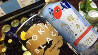 水曜日のネコ？