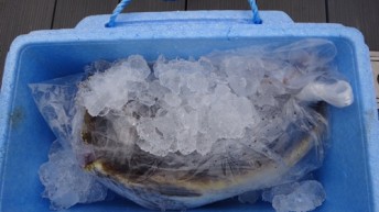 お土産