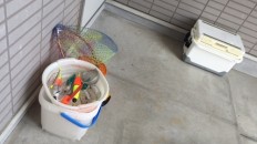 隣の玄関先