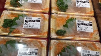 コチ高い！