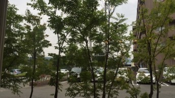 ランチ来た