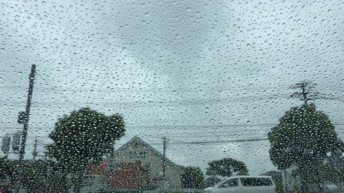 雨です