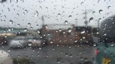 今日は根の治療