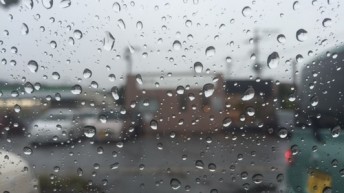 今日は根の治療