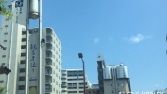 親不孝通り