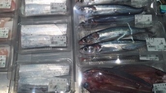 太刀魚高い