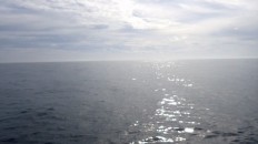 台風来てるけど凪。