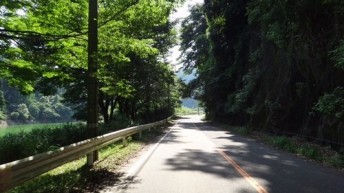 いつもの500番