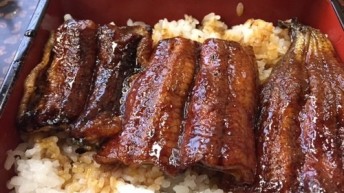 うな重