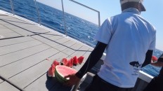 冷え冷えのスイカ