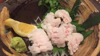 ハモ