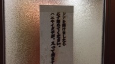 ドア
