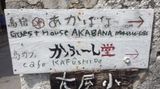 猫カフェ