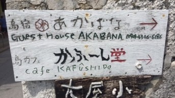 猫カフェ