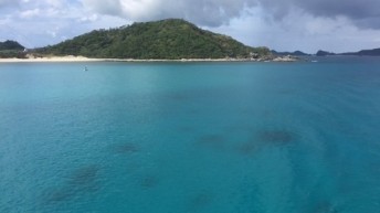 阿嘉